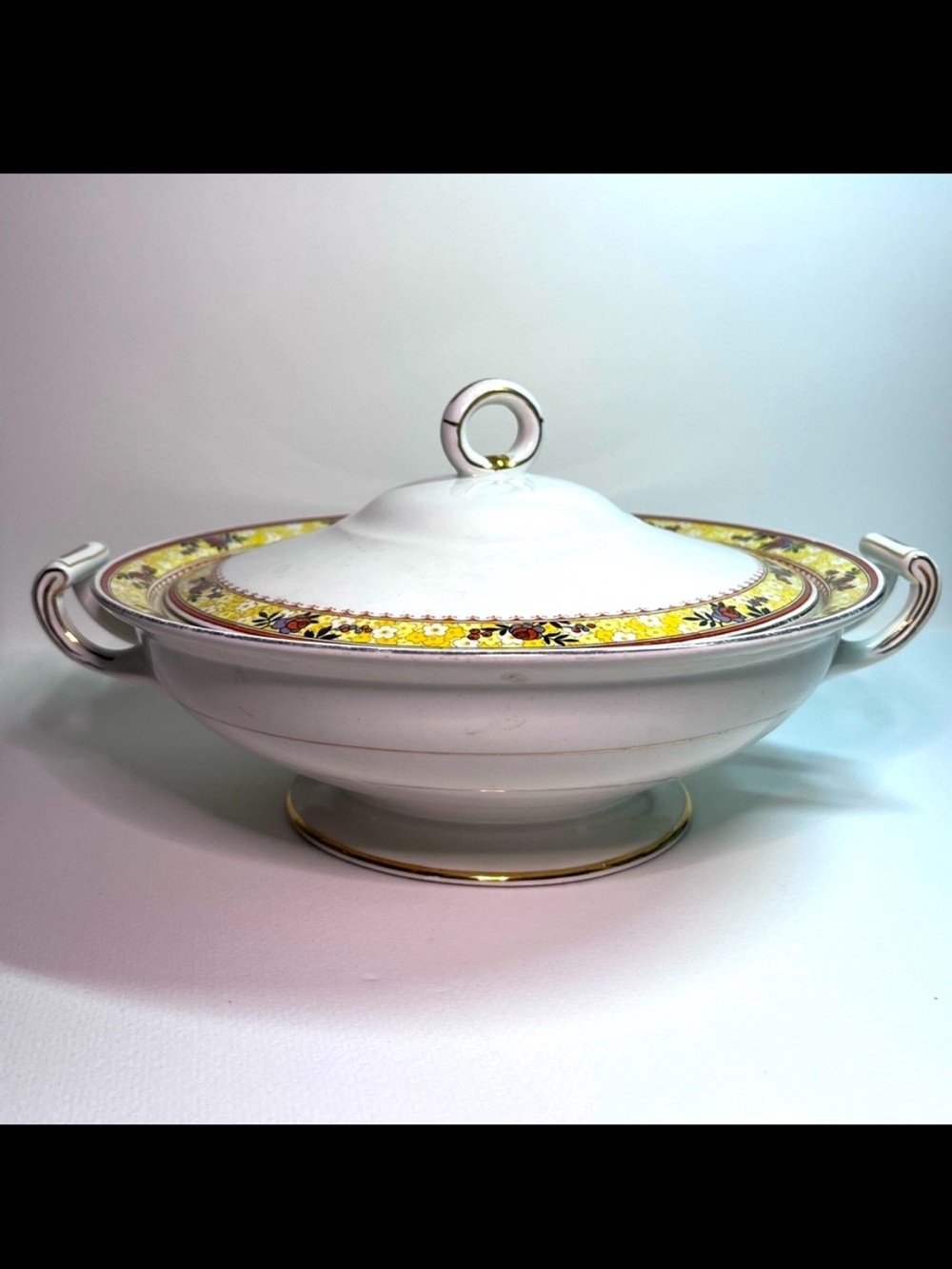 Vintage Johnson Brothers Montrose Pattern Veggie Server – EUC